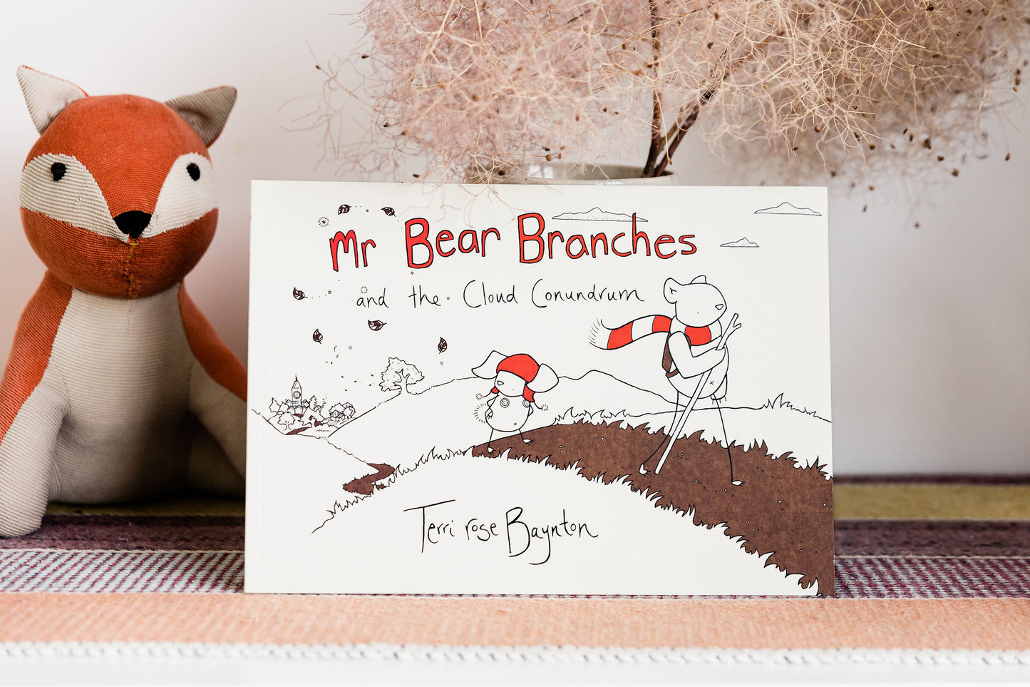 Mr Bear Branches & the Cloud Conundrum